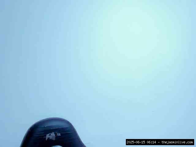 bongacams, ashley-7777