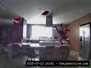 camsoda, voyeurcam-casa-salsa-fishtank