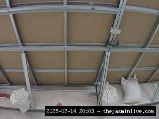 camsoda, voyeurcam-jb-room-2