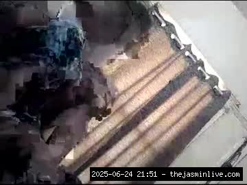 chaturbate, bigblue4328_